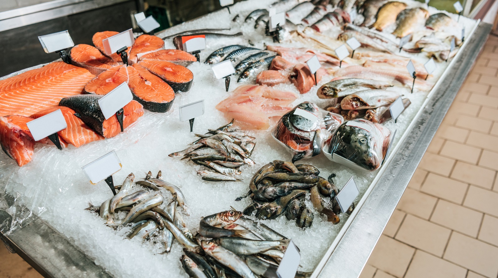 Fischpreise pro kg 2026 für Zander, Forelle, Karpfen und mehr Fischpreise pro kg 2026 für Zander, Forelle, Karpfen und mehr